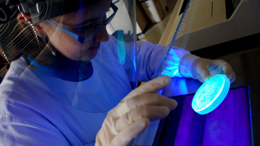 Foto de una profesional de laboratório examinando una lámina de investigación